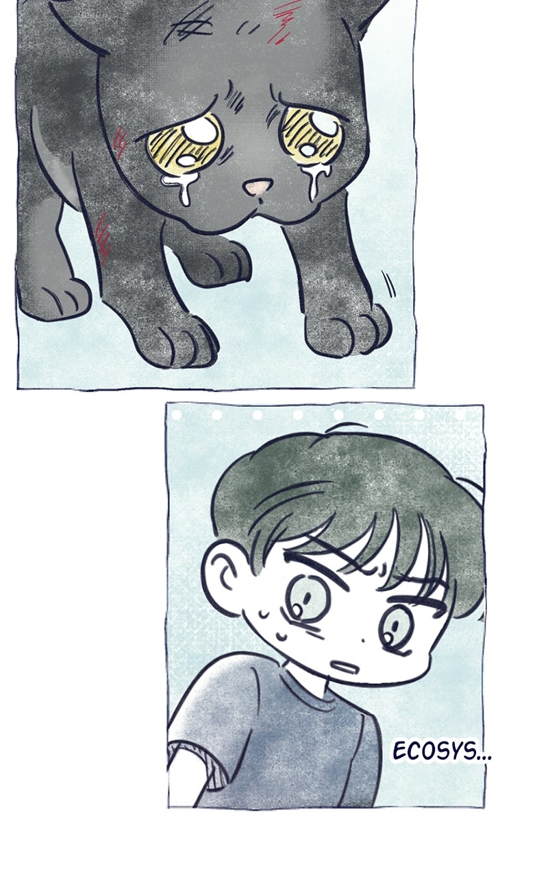 Read Four Options chapter 35 image 49 on Lezhin