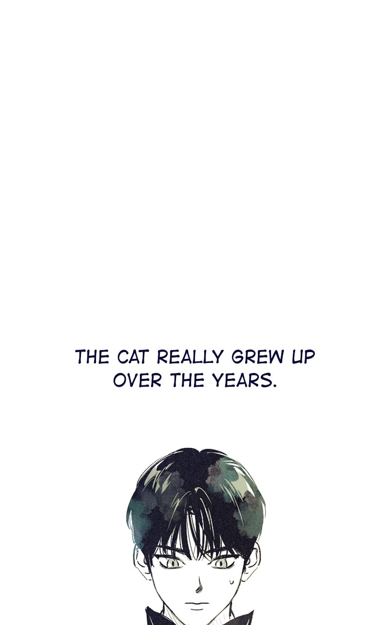 Read Four Options chapter 35 image 53 on Lezhin