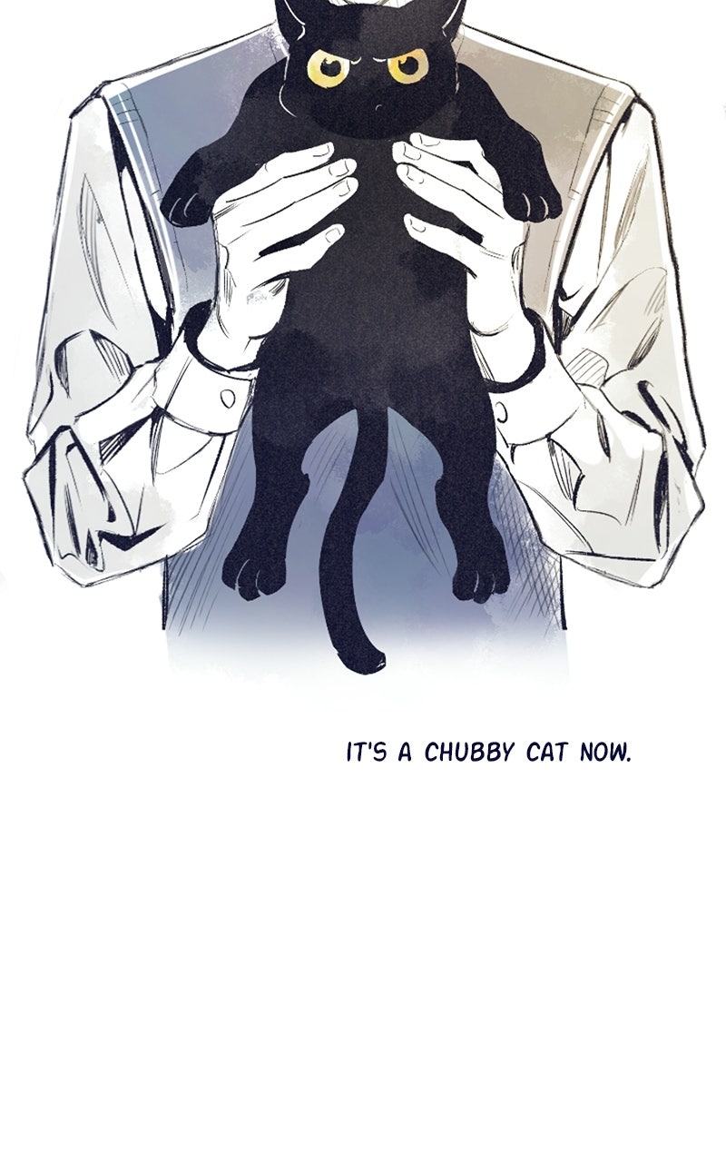 Read Four Options chapter 35 image 54 on Lezhin