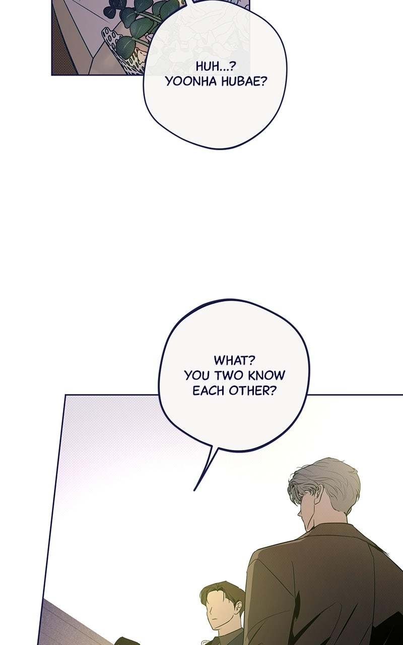 Read Four Options chapter 42 image 66 on Lezhin