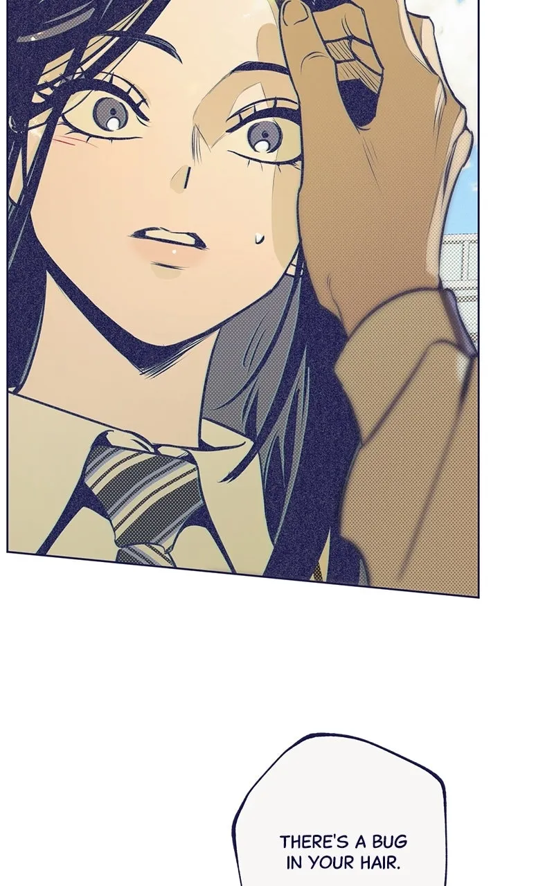 Read Four Options chapter 5 image 39 on Lezhin