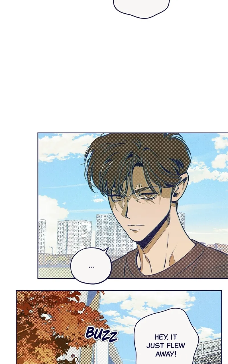 Read Four Options chapter 5 image 54 on Lezhin
