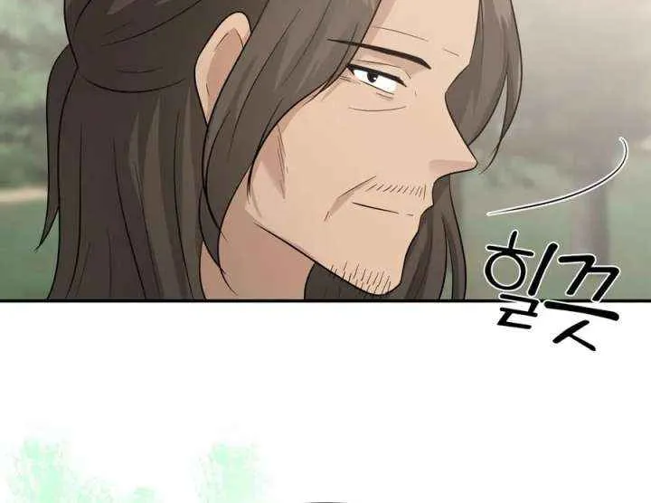 Four Pillars of Destiny Chapter 13 page 29 - 