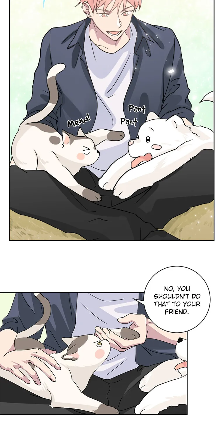 Read Four Years Apart chapter 6 image 1 on Lezhin