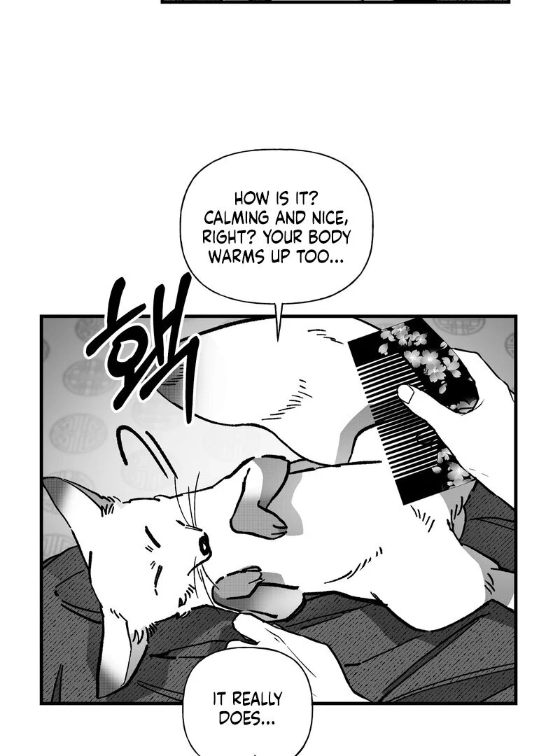 Read Fox and Elixir chapter 13 image 31 on Lezhin