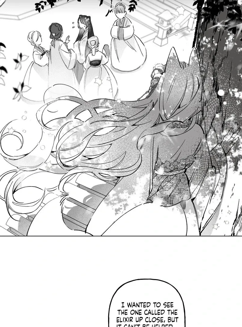 Read Fox and Elixir chapter 2 image 14 on Lezhin
