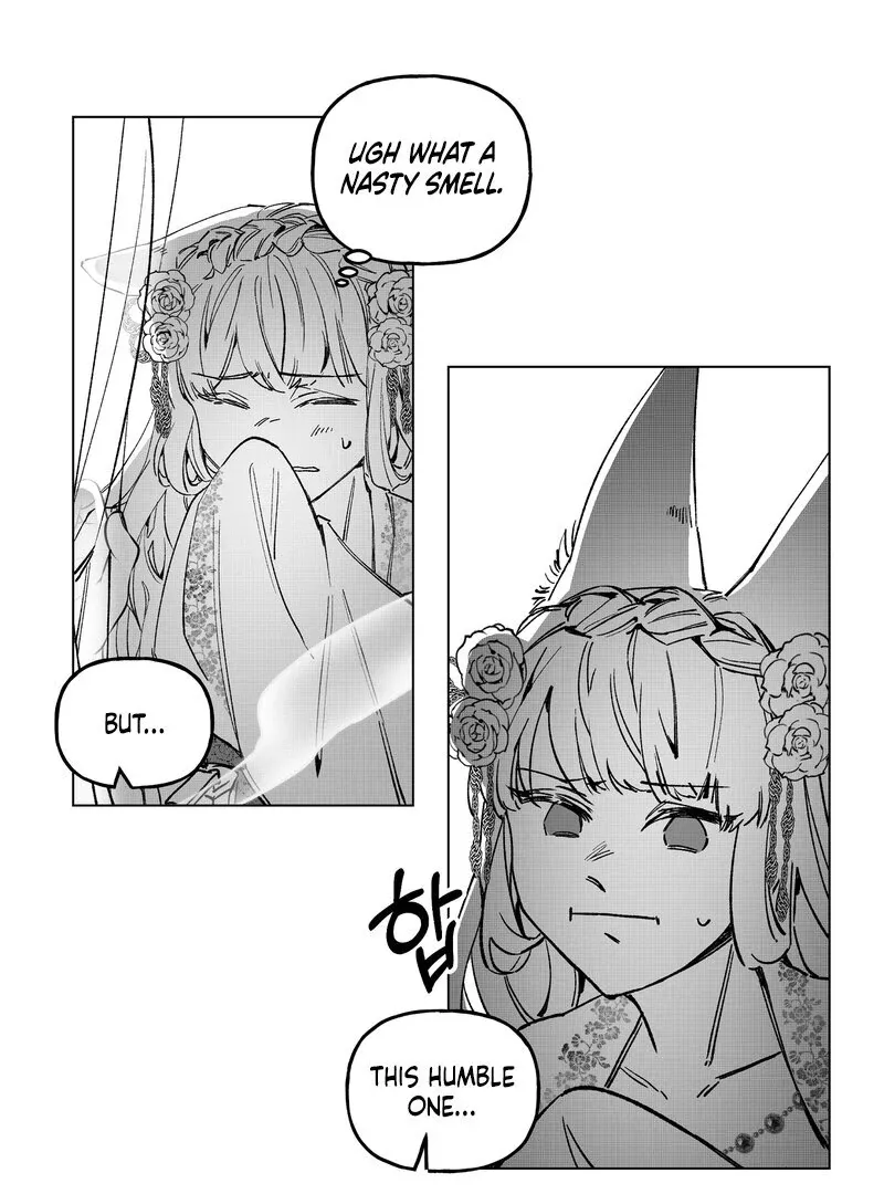 Read Fox and Elixir chapter 3 image 20 on Lezhin