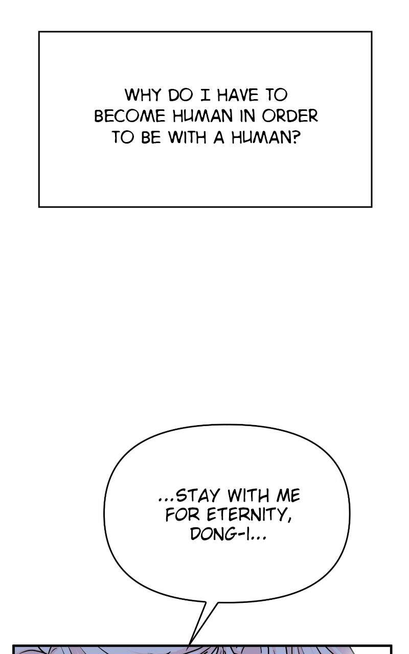 Fox Love Story Chapter 39 page 39 - 