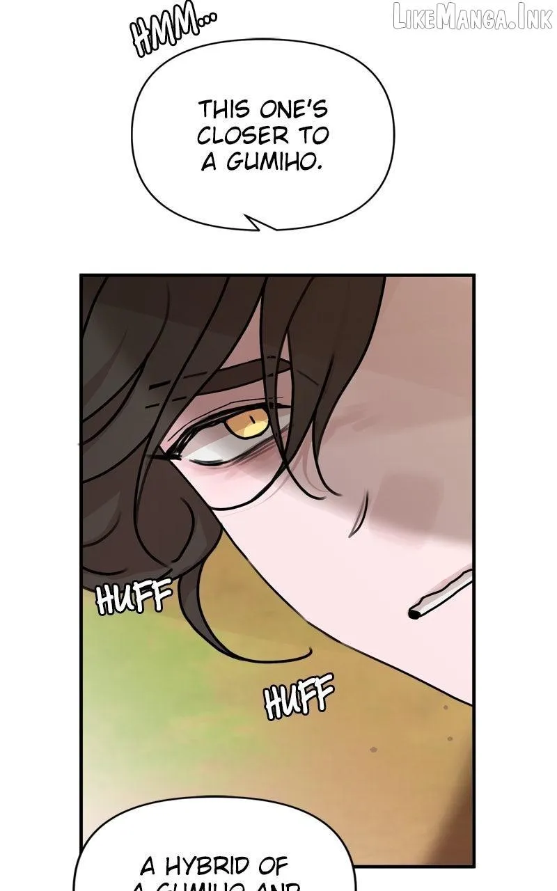 Fox Love Story Chapter 53 page 64 - 