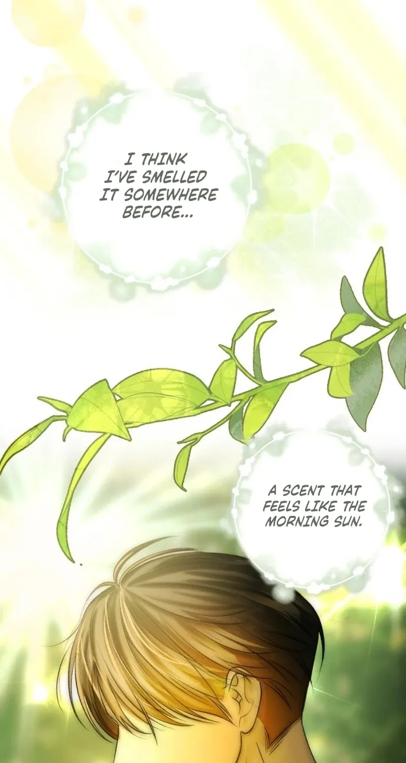 Read Fragrant Contractual Relationship chapter 2 image 2 on Lezhin