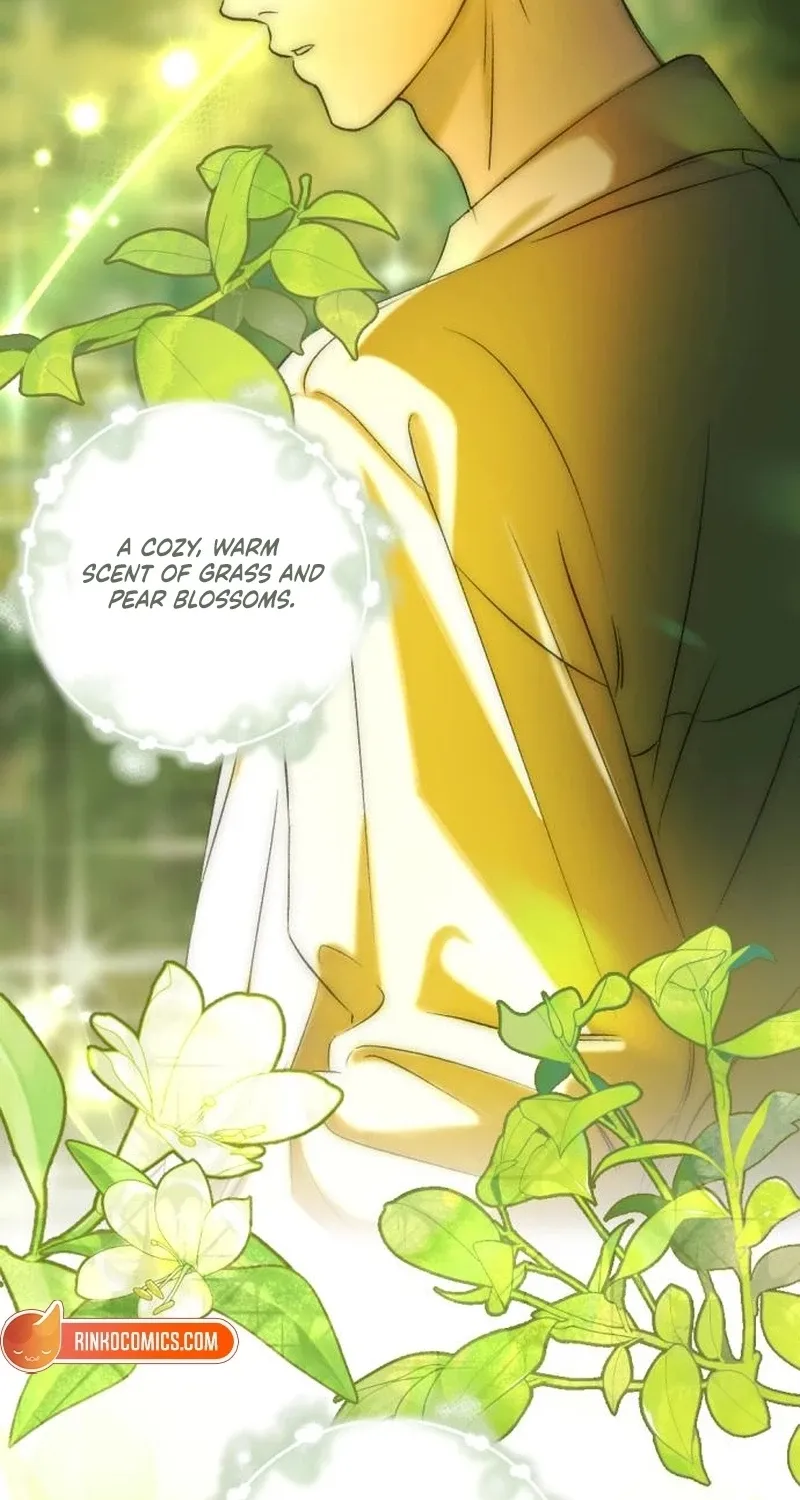 Read Fragrant Contractual Relationship chapter 2 image 3 on Lezhin