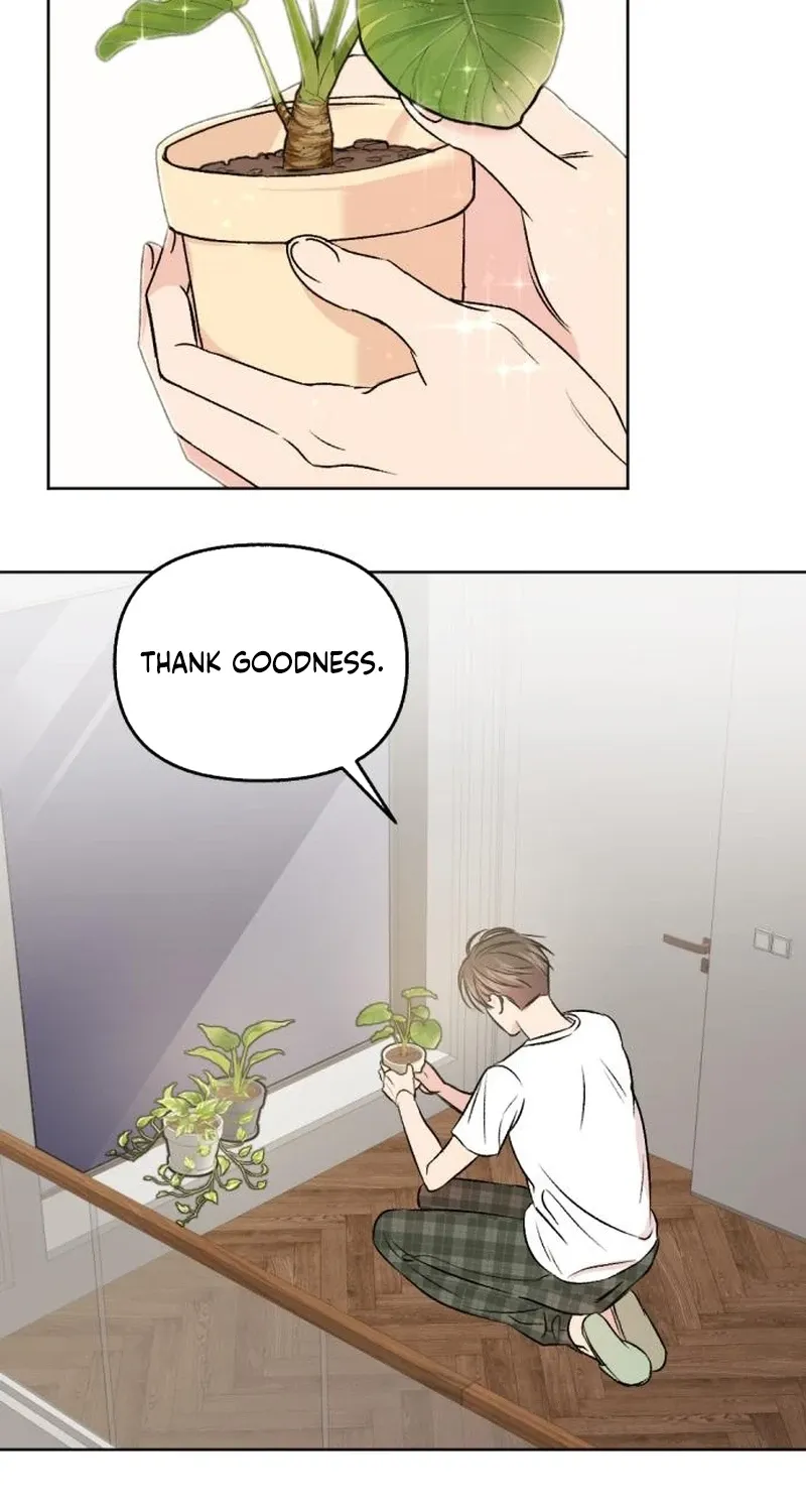 Read Fragrant Contractual Relationship chapter 5 image 69 on Lezhin