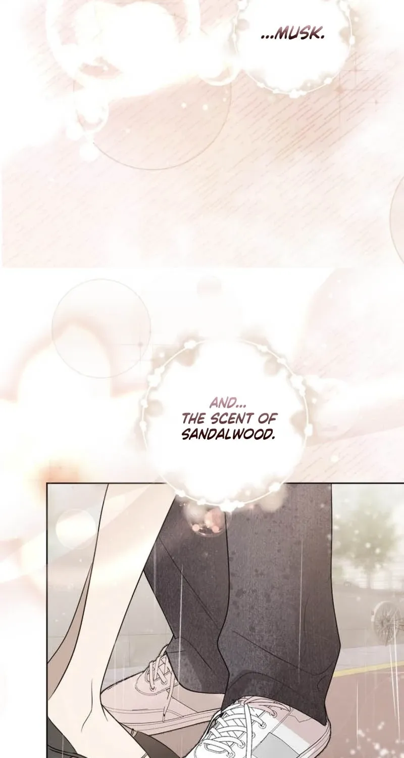Read Fragrant Contractual Relationship chapter 8 image 100 on Lezhin