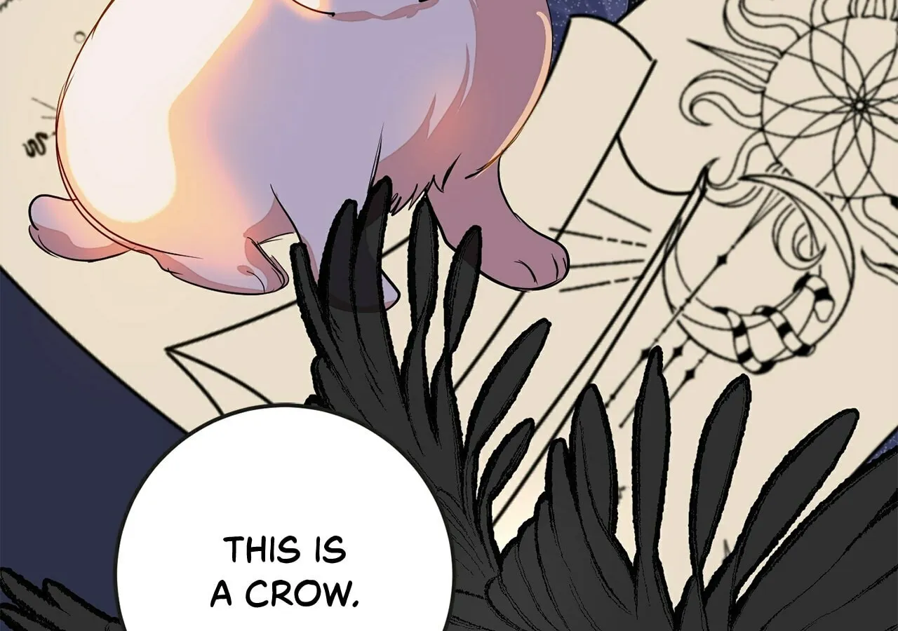 Read Fragrant Magician chapter 26 image 117 on Lezhin