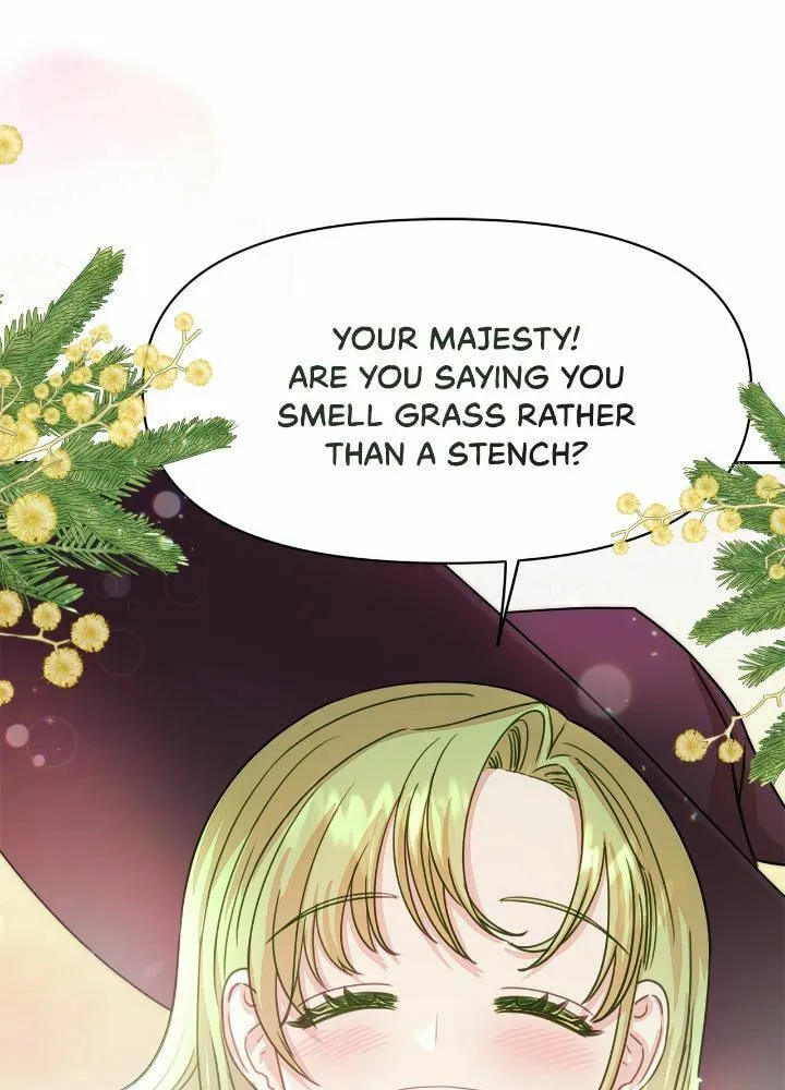 Read Fragrant Magician chapter 3 image 27 on Lezhin