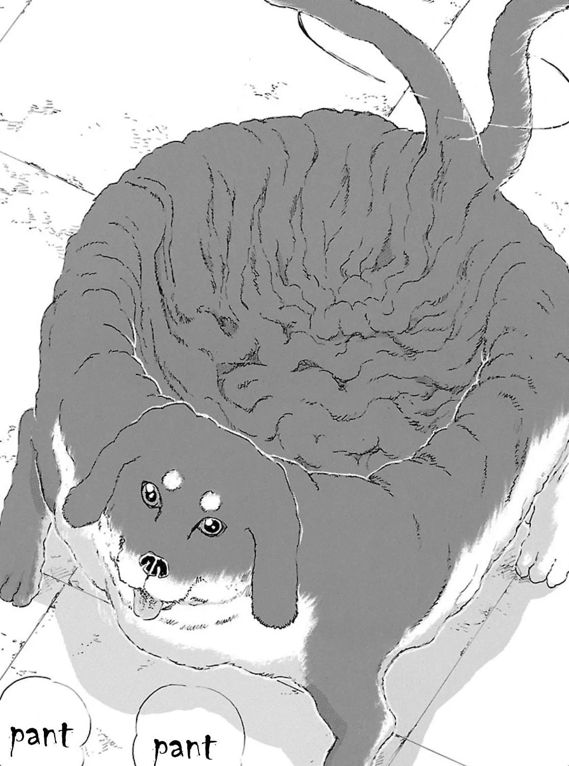 Read Franken Fran Frantic chapter 23 image 18 on Lezhin