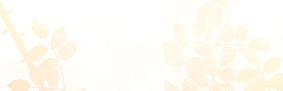 Read From BFF to Obsessive Hubby chapter 51 image 147 on Lezhin