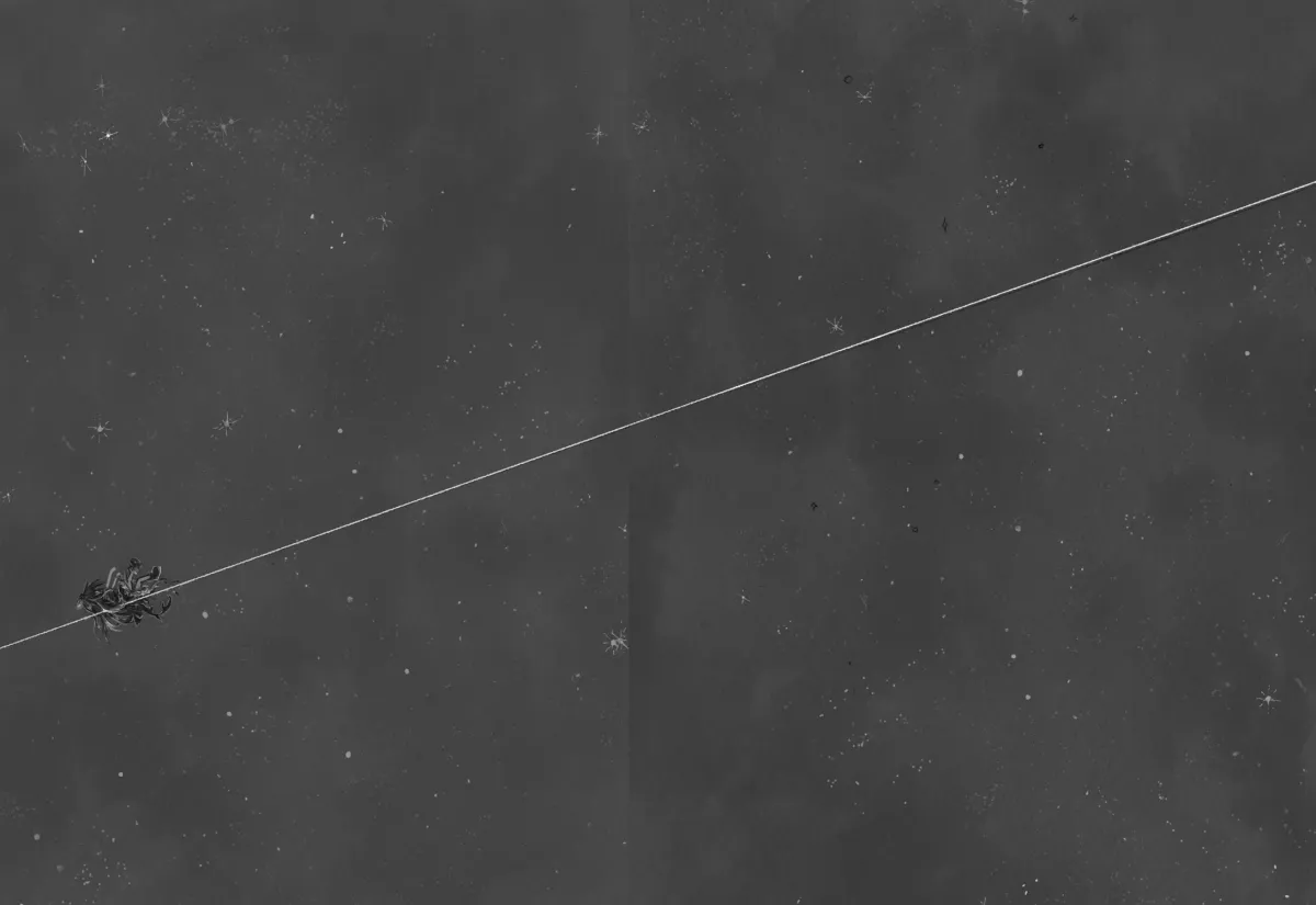 Read From Star Strings chapter 0 image 58 on Lezhin