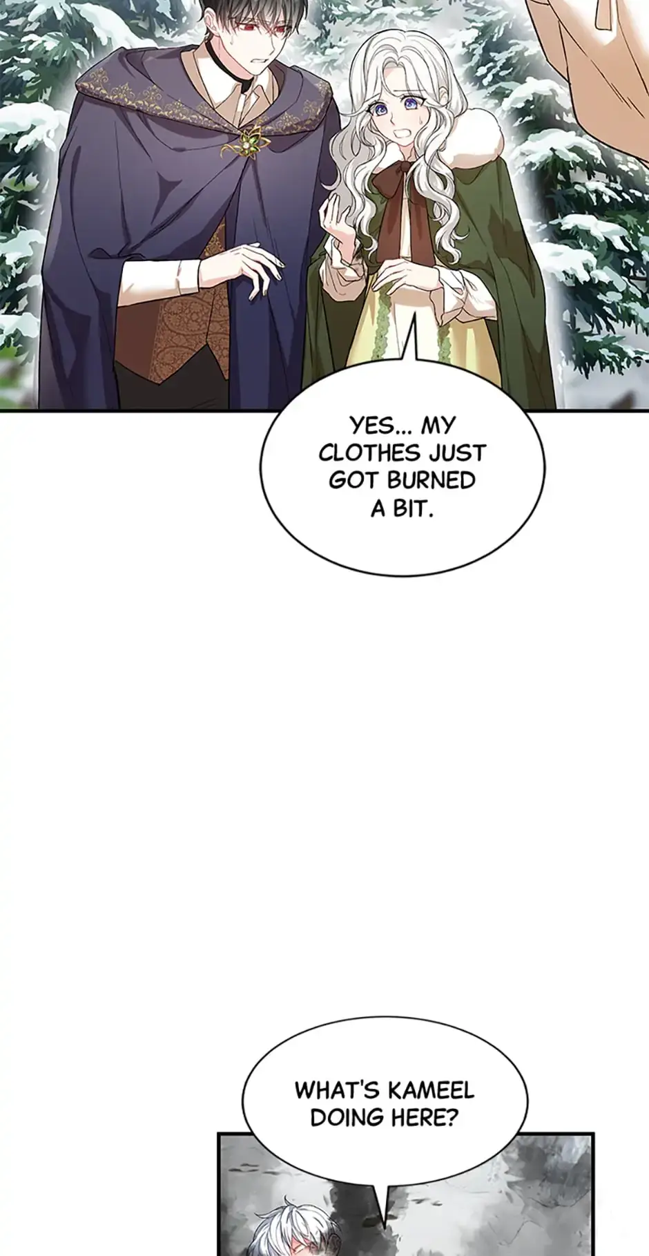 Read Frozen Wolf, Fire Dragon chapter 27 image 11 on Lezhin