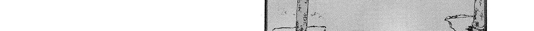 Read Fuan no Tane Plus chapter 141 image 1 on Lezhin