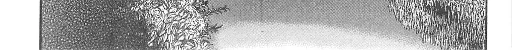 Read Fuan no Tane chapter 94 image 5 on Lezhin