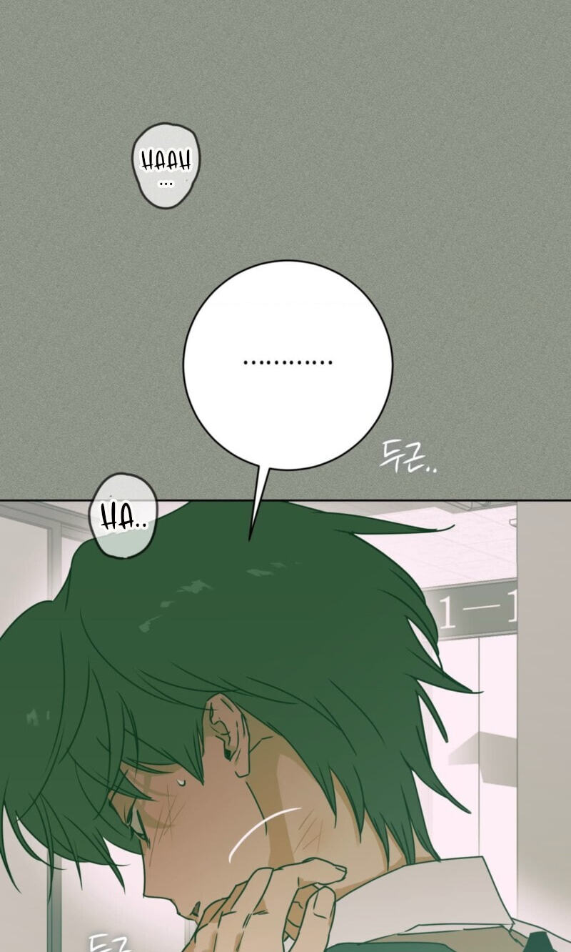 Full Book Chapter 33 page 33 - 