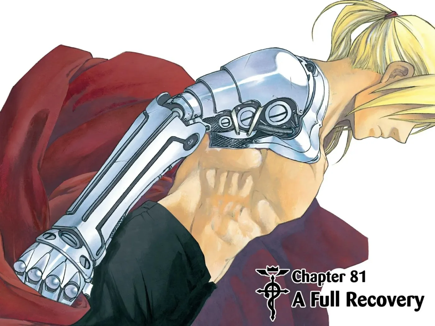 Read FULL METAL ALCHEMIST chapter 81 image 1 on Lezhin