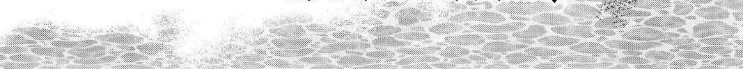 Read Full Moon chapter 13.5 image 31 on Lezhin