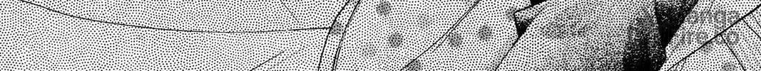 Read Full Moon chapter 17 image 29 on Lezhin