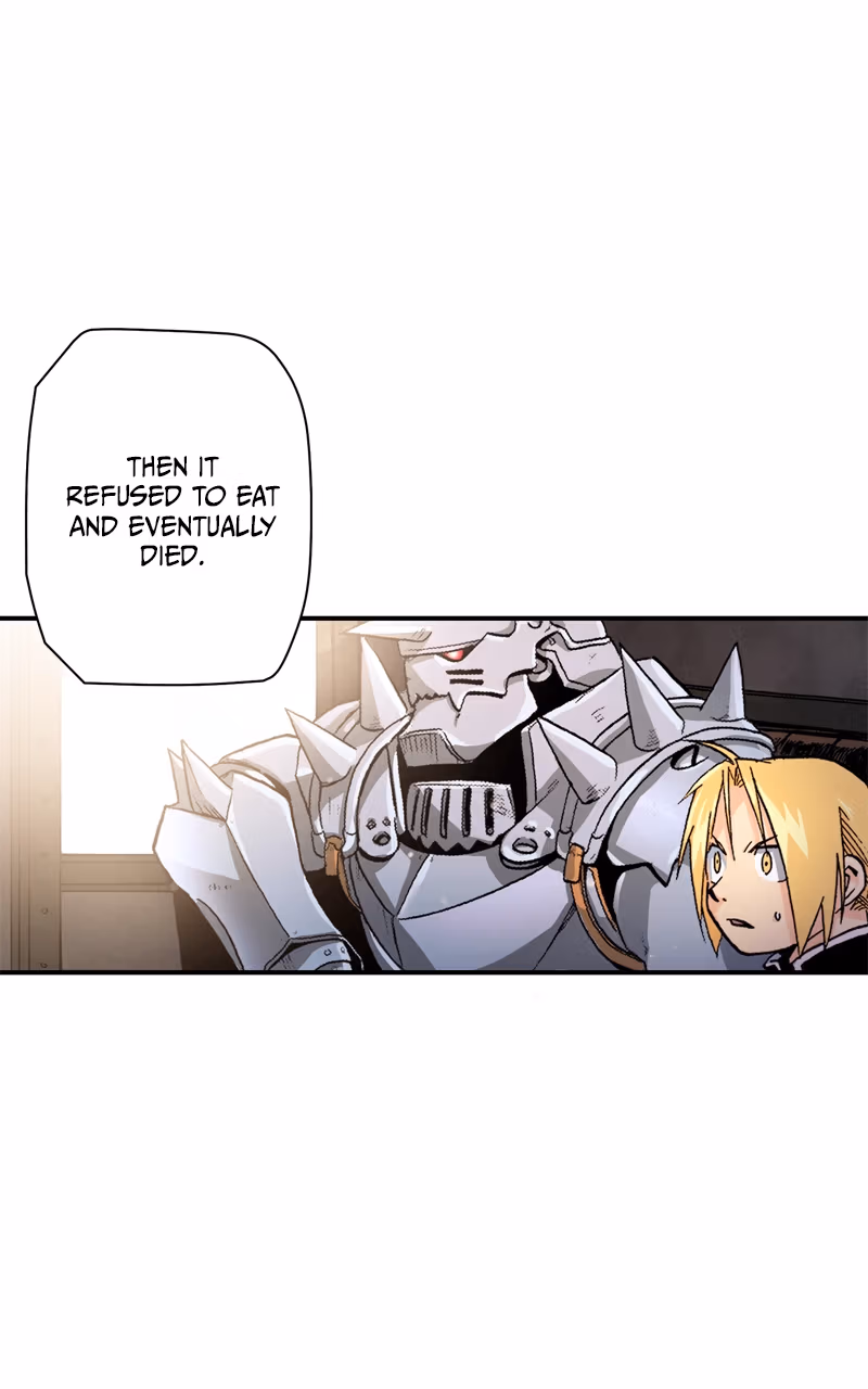 Read Fullmetal Alchemist (WEBTOON) chapter 12 image 21 on Lezhin