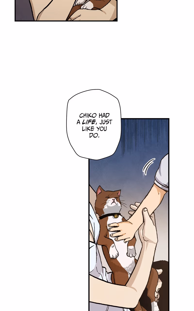 Read Fullmetal Alchemist (WEBTOON) chapter 56 image 42 on Lezhin