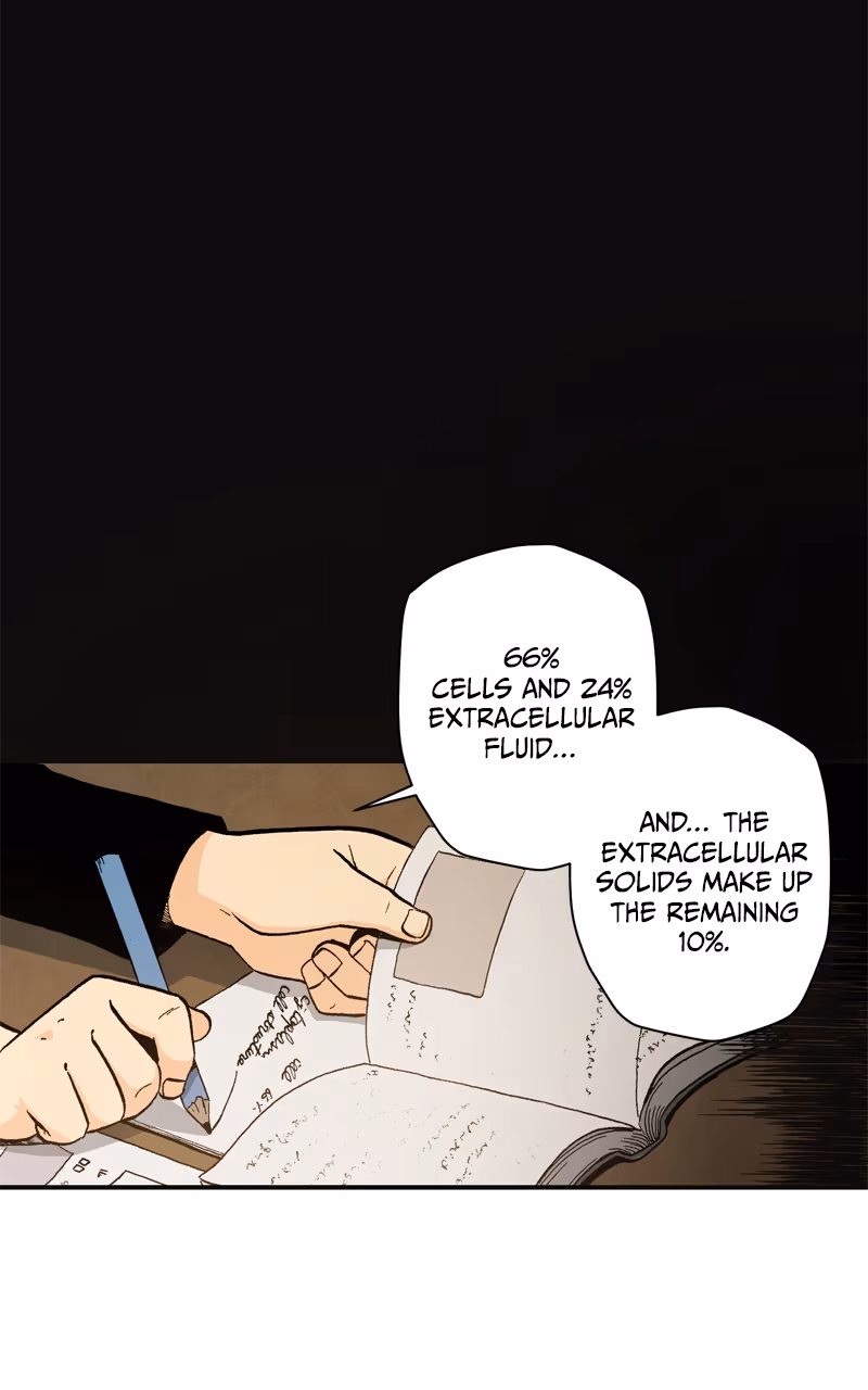 Read Fullmetal Alchemist (WEBTOON) chapter 57 image 53 on Lezhin