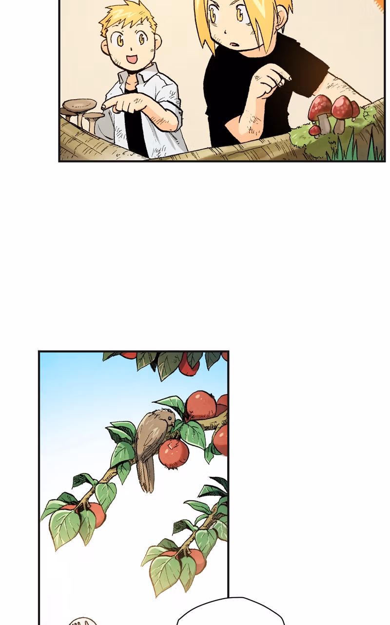 Read Fullmetal Alchemist (WEBTOON) chapter 62 image 21 on Lezhin