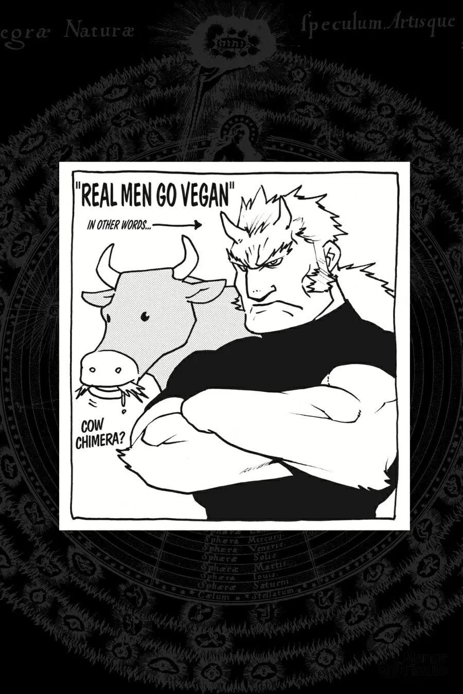 Read Fullmetal Alchemist chapter 103 image 41 on Lezhin