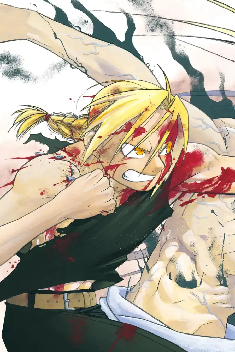 Read Fullmetal Alchemist chapter 108.1 image 2 on Lezhin