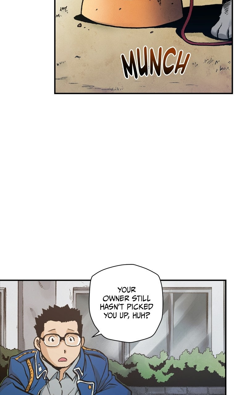 Read Fullmetal Alchemist chapter 143 image 31 on Lezhin