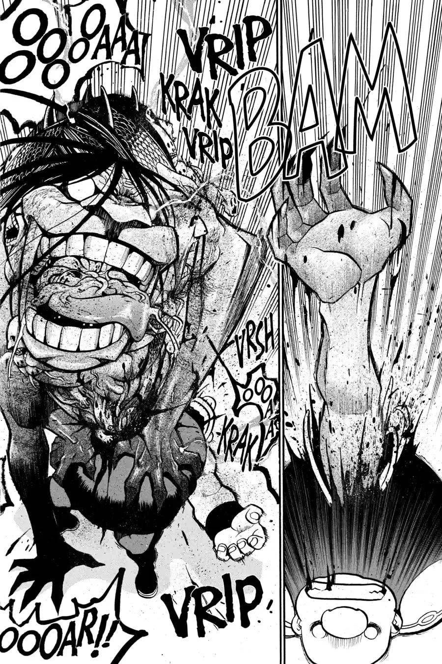 Read Fullmetal Alchemist chapter 53.3 image 11 on Lezhin