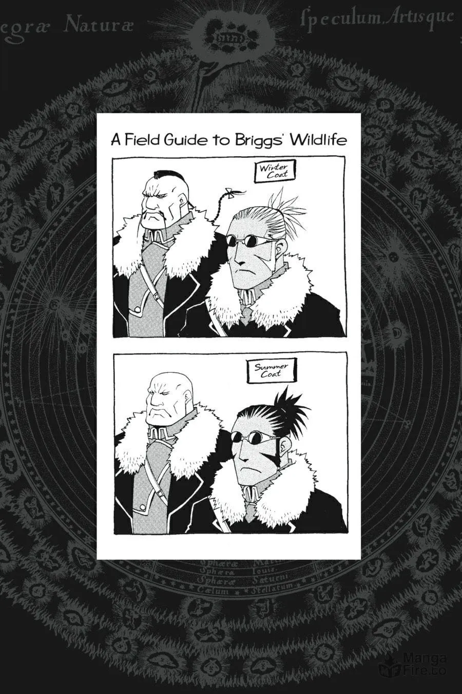 Read Fullmetal Alchemist chapter 78 image 35 on Lezhin