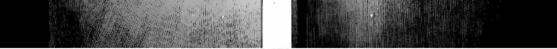 Furitsumore Kodokuna Shi yo Chapter 1 page 64 - 