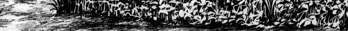 Read Gabai chapter 1 image 43 on Lezhin