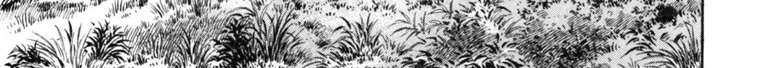 Read Gabai chapter 15 image 14 on Lezhin