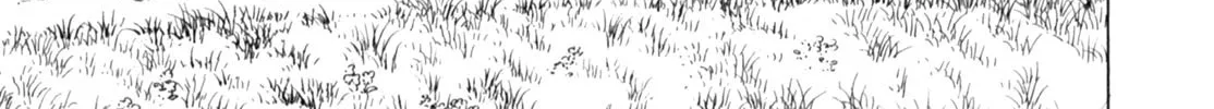Read Gabai chapter 52 image 13 on Lezhin
