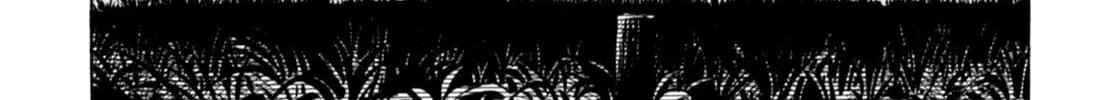 Read Gabai chapter 58 image 37 on Lezhin
