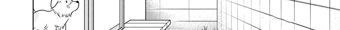 Read Gal to Tsuchinoko chapter 6 image 15 on Lezhin