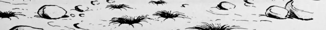 Read Galaxy Express 999 chapter 111.2 image 19 on Lezhin