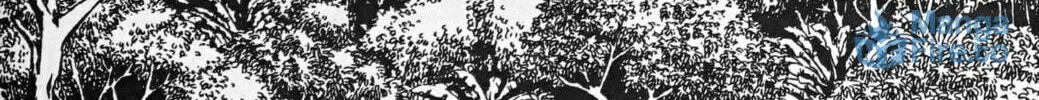 Read Galaxy Express 999 chapter 121.1 image 11 on Lezhin