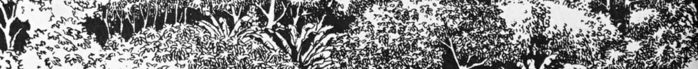 Read Galaxy Express 999 chapter 121.1 image 9 on Lezhin