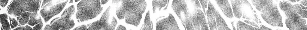 Read Galaxy Express 999 chapter 95 image 193 on Lezhin