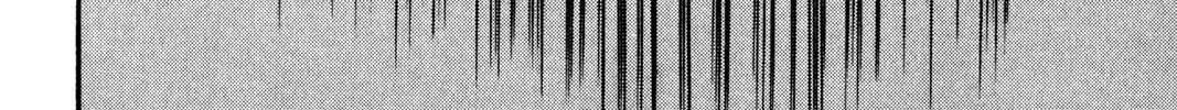 Read Gambling Apocalypse Kaiji chapter 128 image 31 on Lezhin