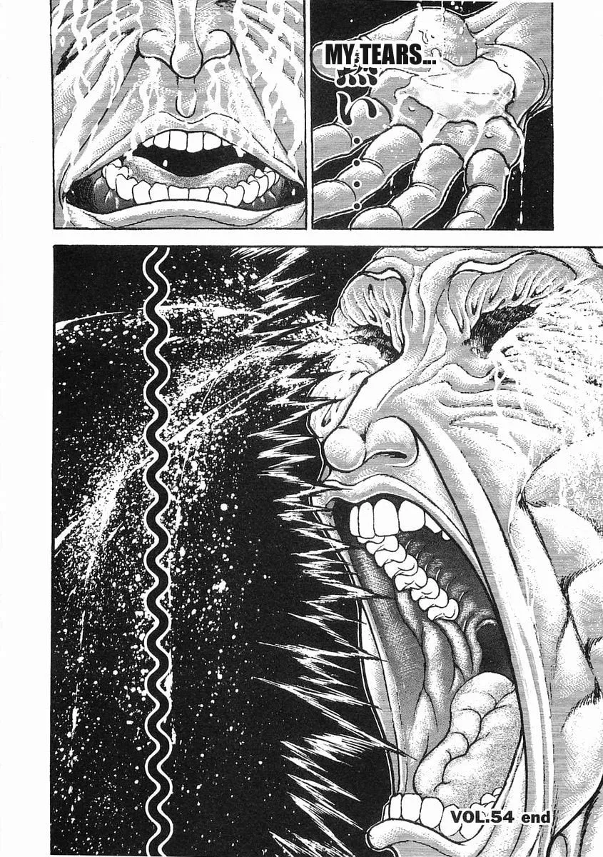 Garoden (ITAGAKI Keisuke) Chapter 54 page 17 - 